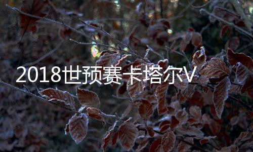 世预赛3-哈桑/13-马克苏德