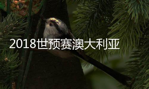 世预赛澳卡塔尔门将传球送礼