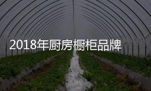 中国厨房橱柜欠缺了太多