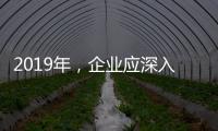 2019年	，企业应深入骨髓的塑造小家电品牌