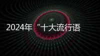 2024年“十大流行语”发布	，“未来产业”“city不city”等入选