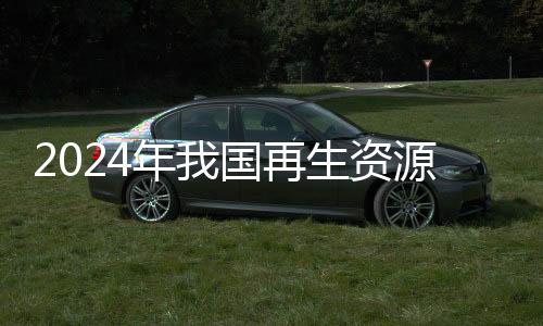 回收再到组建“国家队”