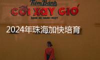 2024年珠海加快培育新质生产力�
，高技术制造业增加值同比增长15％