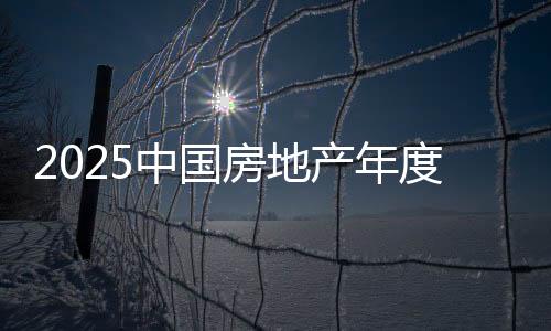 共同探讨未来发展之道