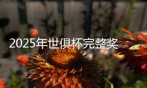 首巴3680万10-利雅得新月