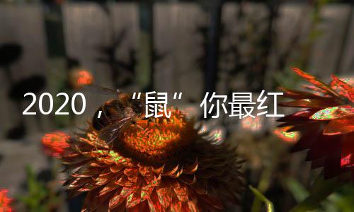诚祝各位元旦愉快