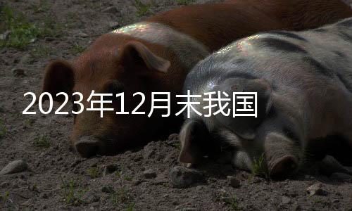年月截至2023年12月末