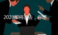 2023即将过去，你想用什么词总结自己这一年？