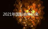2021年国际森林日来了！7组数据看森林对我们多重要