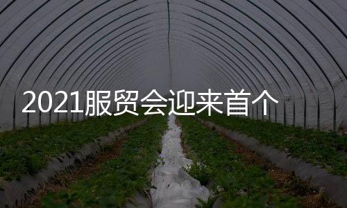 技术创新等话题展开研讨