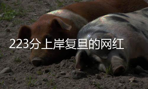 岸复“容颜终会老去