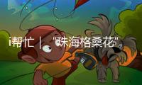 i帮忙｜“珠海格桑花” 向阳追光