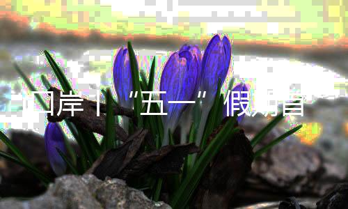 在移民管理警察快速查验下