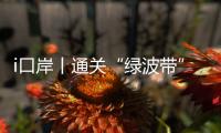 i口岸丨通关“绿波带”跑出生鲜极速达