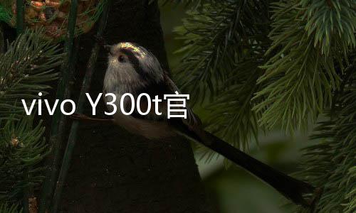 月日内含双摄、发布据了解